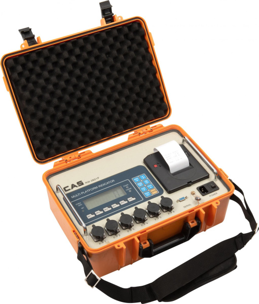 Индикатор CAS RW-2601Р купить по низкой цене | МАКСПРОФИТ